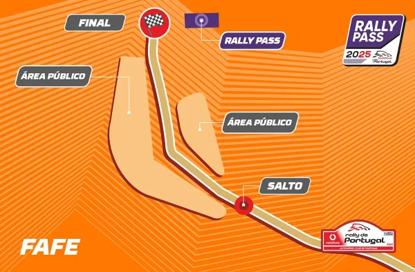 RALLY PASS SILVER - Image 5